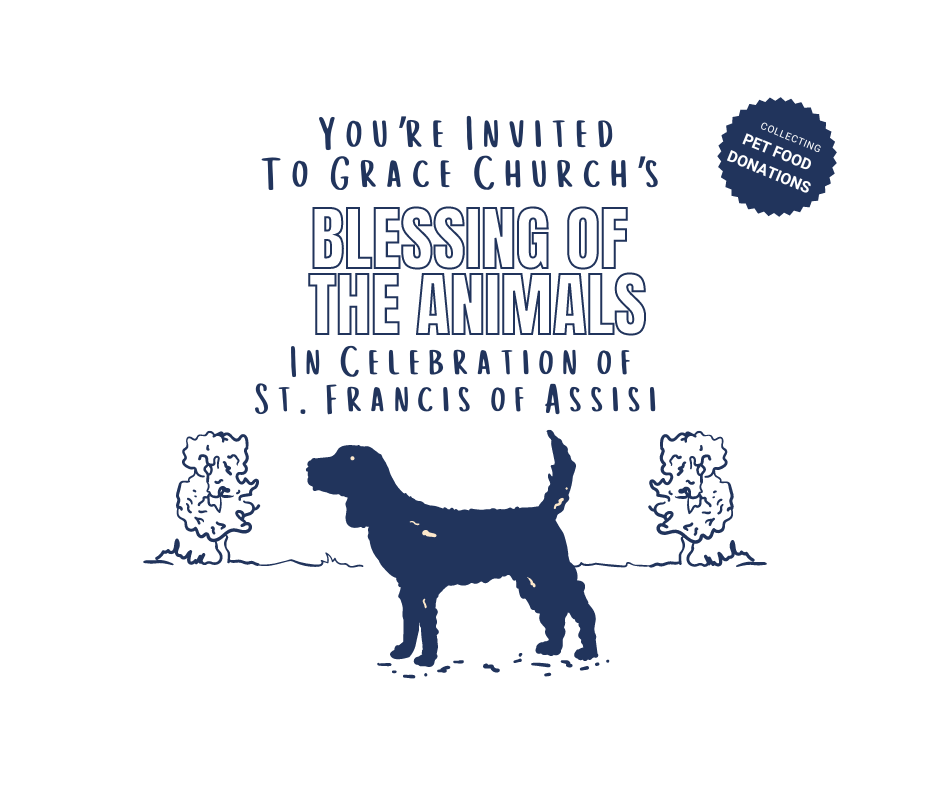 Blessing Of The Animals In Celebration Of St. Francis | Oct 6th, 2024